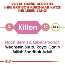 ROYAL CANIN British Shorthair Kitten 2 Kg 10 ROYAL CANIN British Shorthair Kitten 2 Kg -Haustierprodukte b9dcf6abb7a4919bf6fc18b953f6e6aa3597ecf5 b5fbd35505db68c05c613e1187818406628392a1