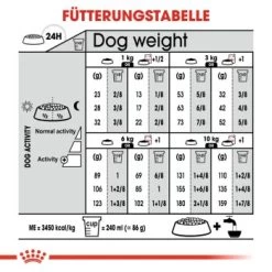 ROYAL CANIN Mini Sterilised 8 Kg 10 ROYAL CANIN Mini Sterilised 8 Kg -Haustierprodukte bca34a809063a54c7549af216e4b4ad7b785bee9 a34e6e054fd0346848438c5e8c4ae8c587a48bd1
