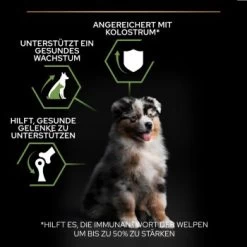 PRO PLAN Optistart Medium Puppy 3 Kg -Haustierprodukte bdff04e131be9f7dda9ef4d53f415d28dc7ce6de 1206411 3