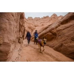 Ruffwear Overcoat Fuse™ Hundejacke Violett XXS 19 Ruffwear Overcoat Fuse™ Hundejacke Violett XXS -Haustierprodukte be1df80a58a073c4a06905f9850fdb02868343c3 1639761 de DE 6b99be5157e3de813670a6d4268b03b177d774edbPJ4YO