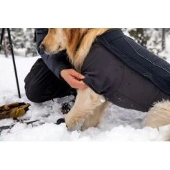 Ruffwear Cloud Chaser™ Hundejacke 15 Ruffwear Cloud Chaser™ Hundejacke -Haustierprodukte c08ed86245839b8fa7d59b47206e376a4924f862 1369625 de DE 87ed046f15d6c099e4f33a0b92b8494c495a6d97LL6Vmg