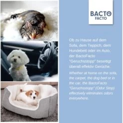 ChronoBalance BactoFacto Probiotischer Geruchsstopp Pads Für 2 Liter 20 Ml 11 ChronoBalance BactoFacto Probiotischer Geruchsstopp Pads Für 2 Liter 20 Ml -Haustierprodukte c27e75fc226c89e592b2af9866887997e79057a8 1397549 de DE 11eaf103bff429178d8c79950fc83faf63345183BU6JEF