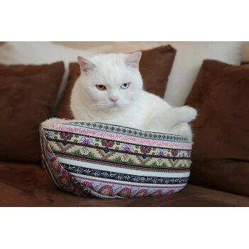 Canadian Cat Company Katzenschiff LUNA 2 Canadian Cat Company Katzenschiff LUNA – Bild 2