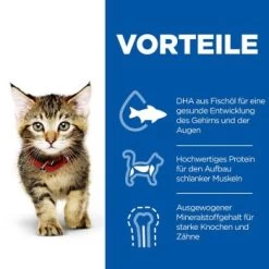 Hill's Science Plan Kitten Thunfisch 7 Kg 10 Hill's Science Plan Kitten Thunfisch 7 Kg -Haustierprodukte c6fb28c1a799efc2b3725ee5b7be61613fad29ae 52742024431 4