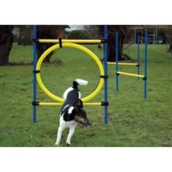 Dobar 3-teiliges Agility Sprung-Set,, Inkl. Tragetasche -Haustierprodukte c7c9dd298510f0bd74d586405ecbd396df04c759 313726f2dd166c5ec13855d4374275bbe5eeeeec