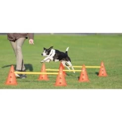 Trixie Dog Activity Hindernisse Ø23x30cm -Haustierprodukte cf5032631aac0df221da4281f2bf49a2321f1aa1 1287032 de DE Trixie Hindernisse wb 1