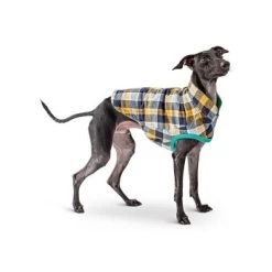 GF Pet Reversible Trail Jacke Grün XXS 6 GF Pet Reversible Trail Jacke Grün XXS -Haustierprodukte d0d86a70089b79c26342e2430bae8caf960ccaed befa58813c2949e634e5b991f29c2ef187a974fc
