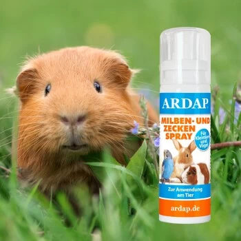 Ardap Milben- Und Zeckenspray Für Nager Und Vögel 100ml 7 Ardap Milben- Und Zeckenspray Für Nager Und Vögel 100ml – Bild 7