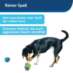 PetSafe Elektronisches Hundespielzeug Ricochet 10 PetSafe Elektronisches Hundespielzeug Ricochet -Haustierprodukte d4449f153a2c132dbacdcffdb9e5bd1534d39124 1418724 de DE f83cfc689e8023f0b85b6eeadf79a2629df4d4f153I9wY