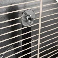 Wagner Montana Cages Metall-Laufrad Ø 38cm -Haustierprodukte d617bd4dfbc1724778c20b1c5755c0a1ef592d48 1484280 de DE 05a82c0dc36325300cf7e58e8159a2a6bf92c5f4CacJUu