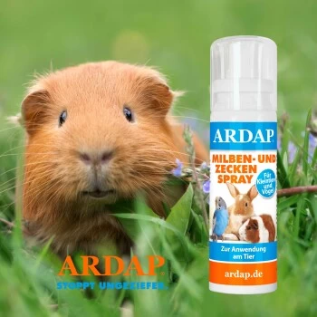 Ardap Milben- Und Zeckenspray Für Nager Und Vögel 100ml 2 Ardap Milben- Und Zeckenspray Für Nager Und Vögel 100ml – Bild 2