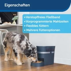 PetSafe Futterautomat Smart Feed -Haustierprodukte d75d18a8d69305d41cdc15b6cd1407ea0bf1197e 1418722 de DE b6612f513df2cce528e0e17914e20260d63a2356T5GctK
