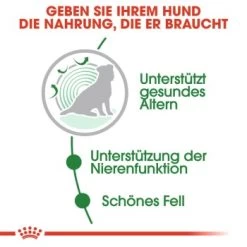 ROYAL CANIN Mini Ageing 12+ 12x85g -Haustierprodukte d914b80de7b105b27770d0a8b7a44e4953c403d8 1327898 de DE rc 3