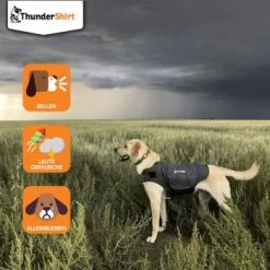 Thundershirt Beruhigungsweste Grau XS -Haustierprodukte dba829e1909f5c4f6710e4085b27664b9bf6ac3e 1102942 2