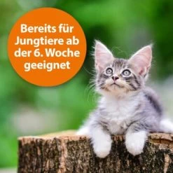 Ardap Zecken- Und Flohpuder 150g -Haustierprodukte dbdf009c8d0233872761402d57b066832841a21c 1341059 de DE 346ada57fd64265cd7e33fec00853a93b033d4599B7b3A