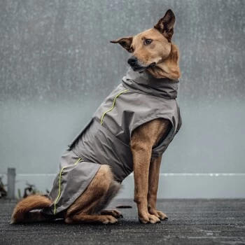 THE DOG IDEA Regenmantel Duke Greige XXXS 6 THE DOG IDEA Regenmantel Duke Greige XXXS – Bild 6