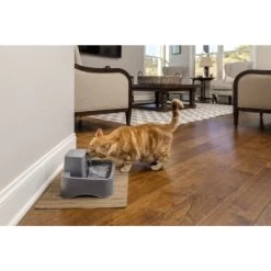 PetSafe Trinkbrunnen 1,8 L -Haustierprodukte df488cf045110a6e0d24fcded3d81de07583d88a 1323706 7