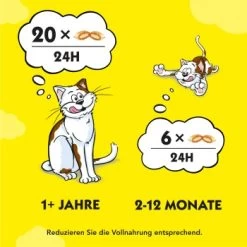 Dreamies Snack-Vielfalt 12x60g 11 Dreamies Snack-Vielfalt 12x60g -Haustierprodukte e1b190f4f53100ff83c0fb6481ba747fb1f78bad 1297459 2