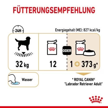 ROYAL CANIN Labrador Retriever Adul Stückchen In Soße 10x140g 5 ROYAL CANIN Labrador Retriever Adul Stückchen In Soße 10x140g – Bild 5