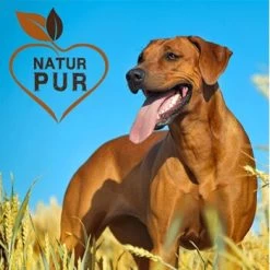 Fit-Crock Basic Rind Maxi -Haustierprodukte ec357c554beb4e37f8bb7a6fb10e9f8ab884c69d 1687103 de DE c323a5c257120307a86f095cf5f49de81ac2f711Ful2Am