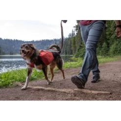 Ruffwear Front Range™ Hundetagesrucksack Rot XS -Haustierprodukte ecc2342d30f723199676137e5ad8c45ad3ce0796 1639836 de DE fe8e077ce41ec4d12619357e7402d2ee7ca63fed0L7PK6