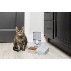 PetSafe Futterautomat Für 2 Mahlzeiten -Haustierprodukte ecfa45428902a757dc7016a44357eeb1f8b25a89 1343837 6