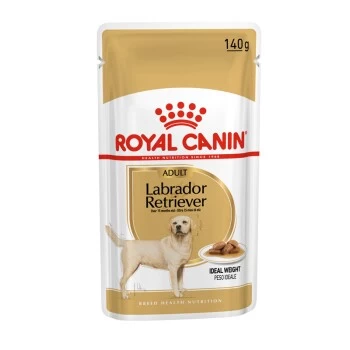ROYAL CANIN Labrador Retriever Adul Stückchen In Soße 10x140g 8 ROYAL CANIN Labrador Retriever Adul Stückchen In Soße 10x140g – Bild 8