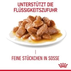 ROYAL CANIN Light Weight Care 12x85g In Soße 16 ROYAL CANIN Light Weight Care 12x85g In Soße -Haustierprodukte f38babf5773c5e1eb5a28f6236631789e7adc695 1099138 5