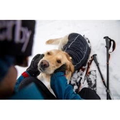 Ruffwear Cloud Chaser™ Hundejacke 17 Ruffwear Cloud Chaser™ Hundejacke -Haustierprodukte f46c67f8b7243d976f998e1877675b56fc87eab2 1369625 de DE 51d1c132eb566a7eb9e278708f64567d4e47a10epBiJRc