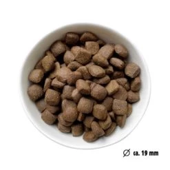 Eat Small EatSmall 3x2kg Maxi Active Trockenfutter -Haustierprodukte fbbfaf0a833b49c22c426aa2a84c1e89a7061771 1492081 de DE 7be7b6abbd10a501ad4eda906b0ca458956766a1RjBOXJ
