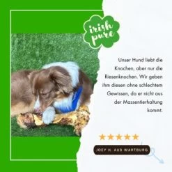 Irish Pure Giant Beef Bone -Haustierprodukte fc09e467ac9750001a659038364b0790920982a2 1288899 de DE 3b559e712b4a15ebe21ce4f69265d21fcd9b4a9efdhT7I