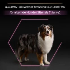 PRO PLAN Optiage Medium & Large Adult 7+ -Haustierprodukte fcc43e29745bf32f501743745068b08089939a08 1206418 4