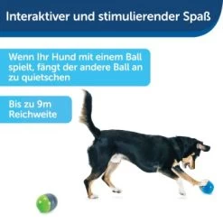 PetSafe Elektronisches Hundespielzeug Ricochet 8 PetSafe Elektronisches Hundespielzeug Ricochet -Haustierprodukte fde7c0cc07cd70611ca47b65ddae3e632f160d94 1418724 de DE 4f6e4953c50827cae26a42d6d5890e56447a49a4XQHEwC