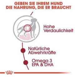 ROYAL CANIN MEDIUM Adult 10x140g 11 ROYAL CANIN MEDIUM Adult 10x140g -Haustierprodukte fe6b640f91b67bdea30a112f4c79409a8b1d5a34 9003579008362 3