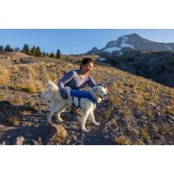 Ruffwear Trail Runner™ Weste Blau XS -Haustierprodukte fe9a07e8da387504b2215a58c73311668656feaa 1639640 de DE 7e91d54f53a97c1cbc2709f9a67c912d45a39cffx1uy8o